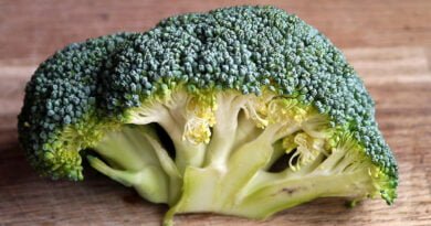 Brócoli