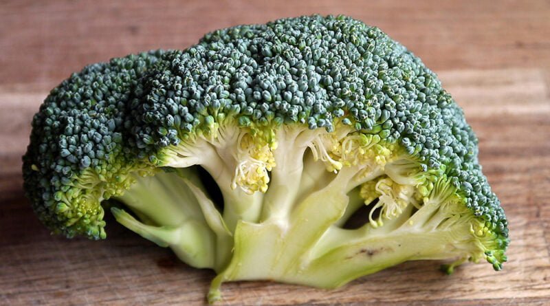 Brócoli