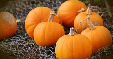Calabaza