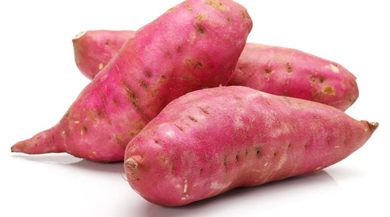 Camote (batata)