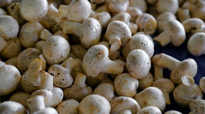 Champiñones