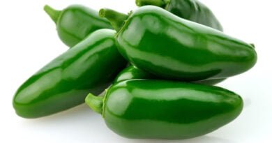 Chile jalapeño