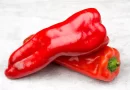 Chile pimiento