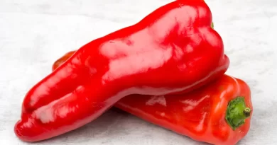 Chile pimiento