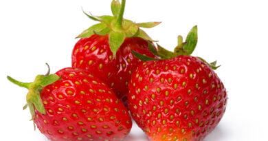 Fresa