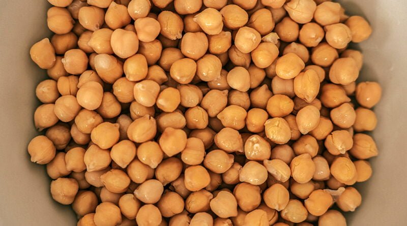 Garbanzo