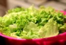 Lechuga