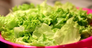 Lechuga