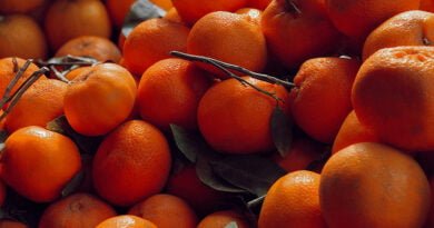 Mandarina