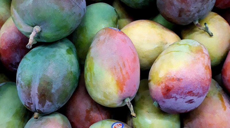 Mango