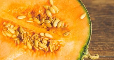 Melón