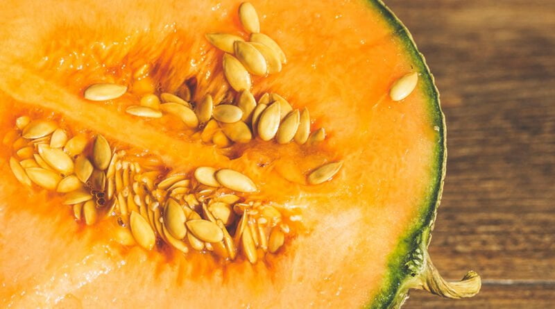 Melón