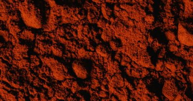 Paprika