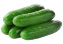 Pepinillo