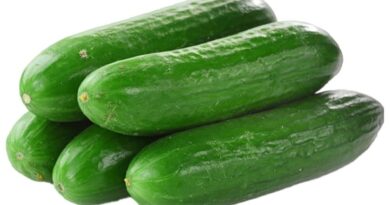 Pepinillo