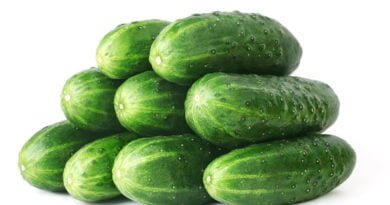 Pepino