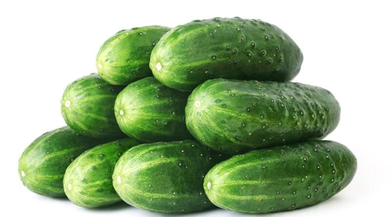 Pepino
