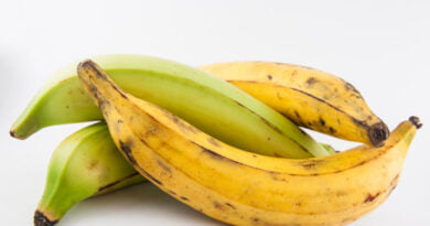 Plátano