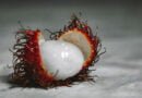 Rambután (licha)