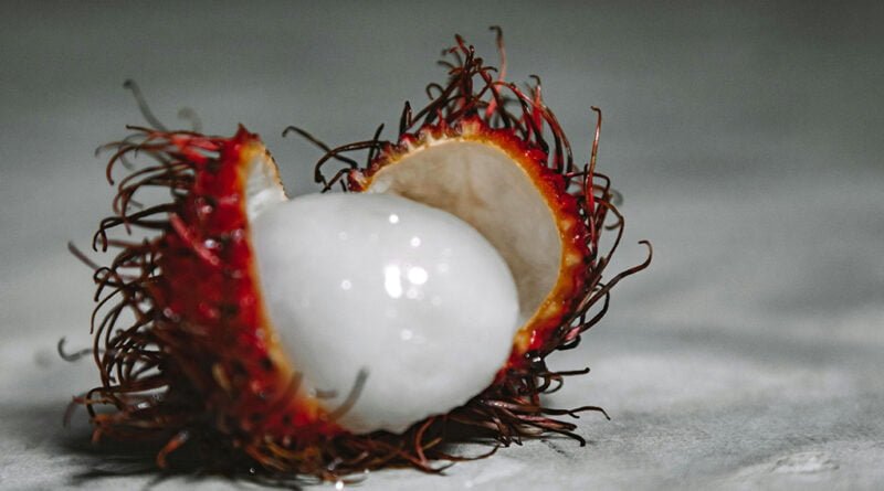 Rambután (licha)