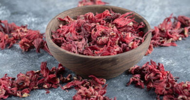 Rosa de Jamaica