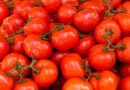 Tomate