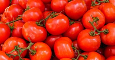 Tomate