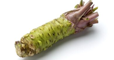 Wasabi