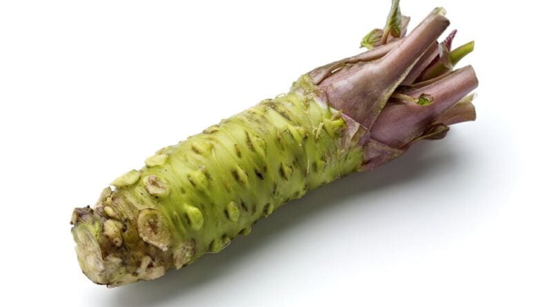 Wasabi