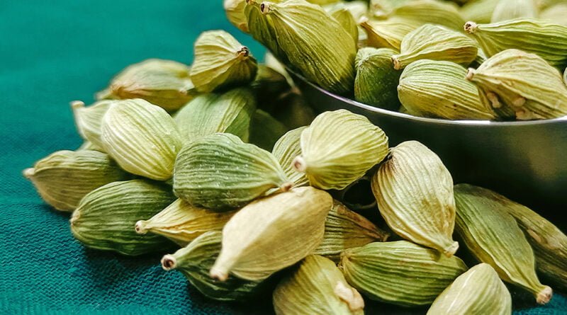Cardamomo