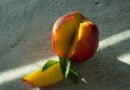 Nectarina