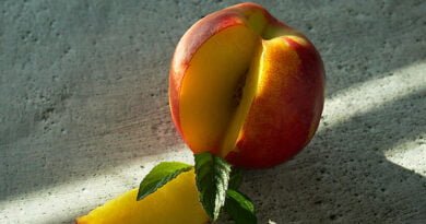 Nectarina