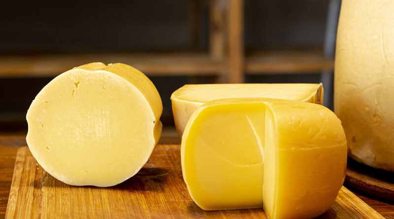 Queso Cheddar