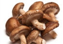 Shiitake